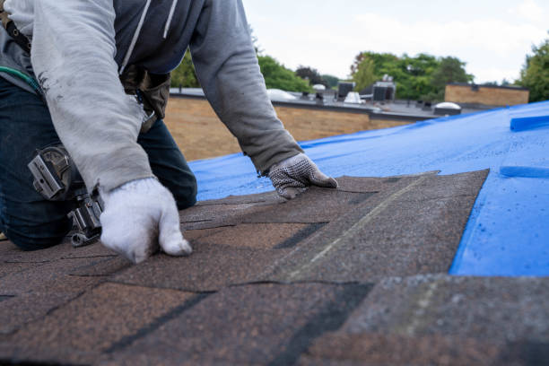 Best Roof Repair Services  in Sixteen Mile Stand, OH